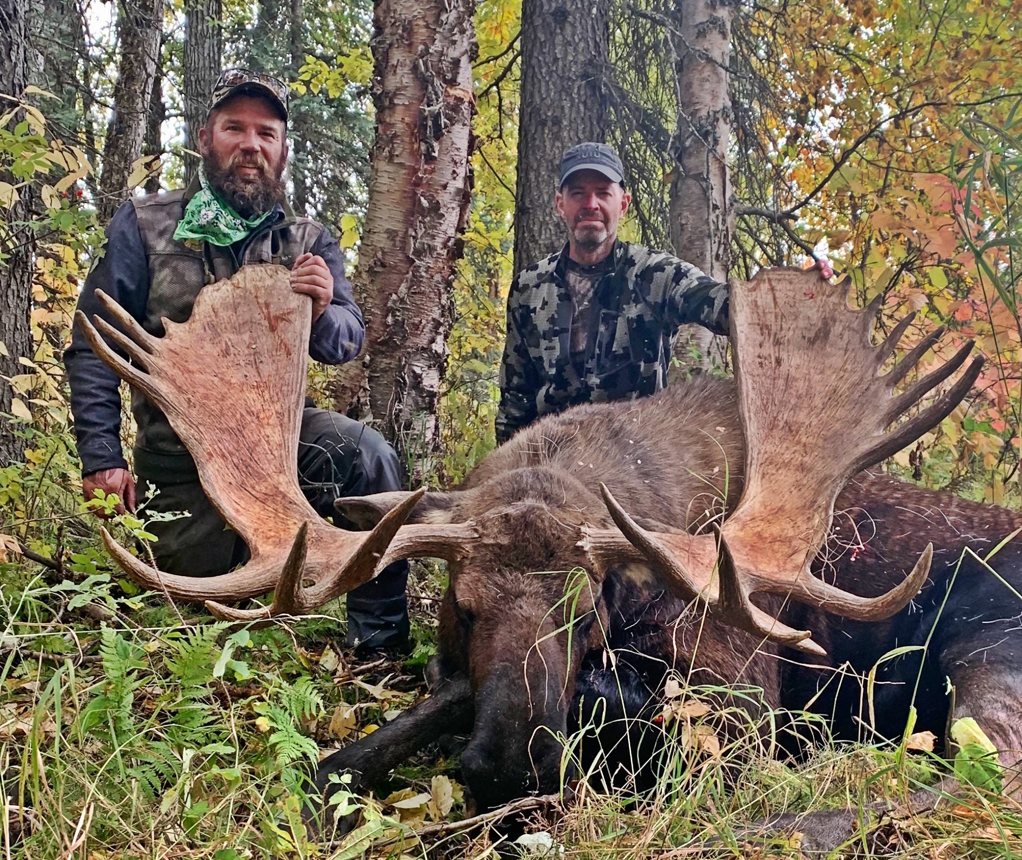 alaska-moose-hunting-season-youtube